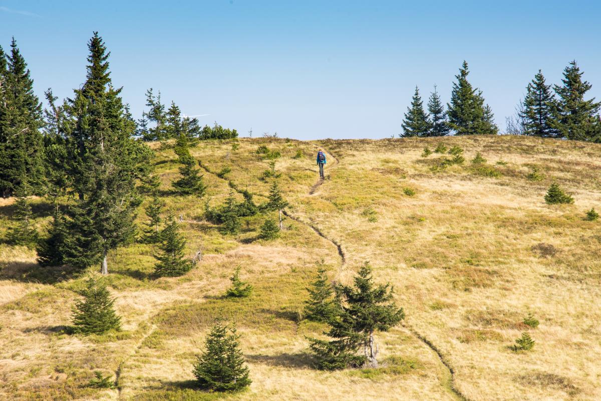 Hiking path: Lodge on Smrekovec – Komen
