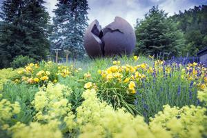 Forma viva Foto Boris Keber