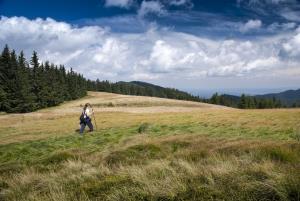 Komen Foto: Boris Keber