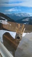 Razgled na Raduho Foto: Marko Kumer