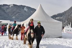 50499680_1125305320982555_3768996564320649216_o