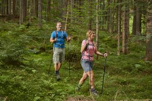 Foto: Ivan Pisar Vir: RRA Koroška